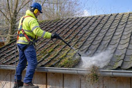 roof moss removal